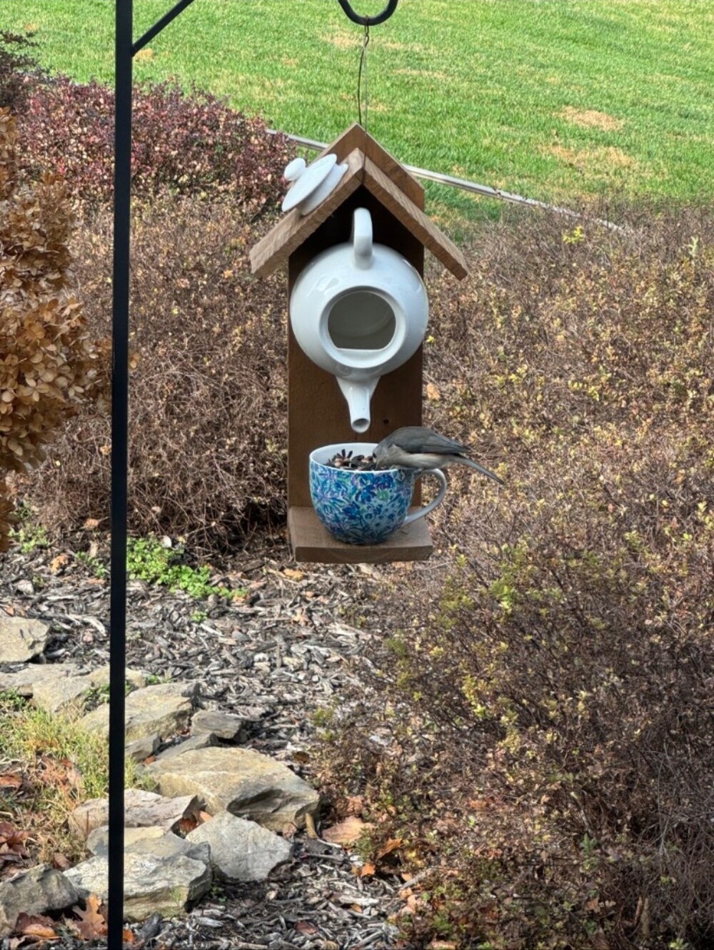 Rustic Wooden Handmade Bird Feeder "Down The Rabbits Hole" - Picture 15 of 16